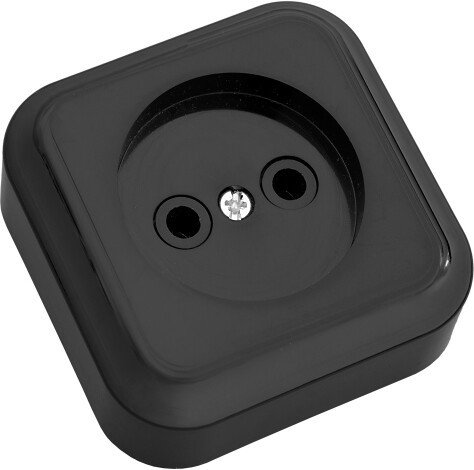 

Розетка Bylectrica РА16-255 (черный)