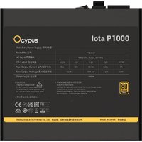Блок питания Ocypus Iota P1000 Iota-P1000-G1FFBK024X-EU в Борисове