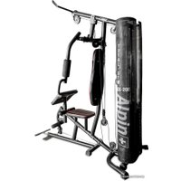 Силовая станция Alpin Total-Gym GX-200