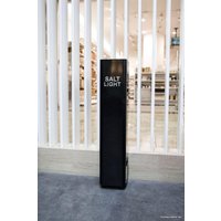 Бактерицидный рециркулятор SaltLight Combo 15 (белый)