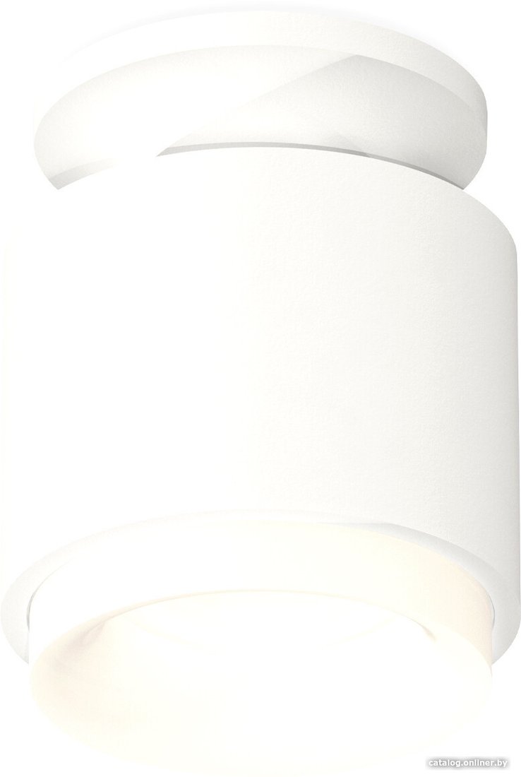 Припотолочная люстра Ambrella light Techno spot XS7510044 SWH/FR