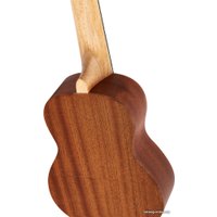 Укулеле Ortega Timber RFU10S