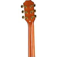 Акустическая гитара Ramis RA-C02C