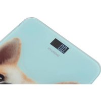 Напольные весы Hyundai H-BS03680