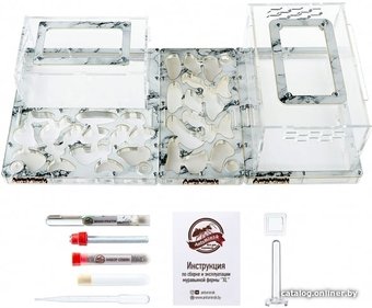 Формикарий AntsMinsk Стартовый комплект XXXL+X+Arena Marble