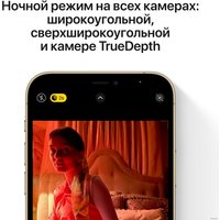 Телефон Apple iPhone 12 Pro 128GB Восстановленный by Breezy, грейд C (графитовый)