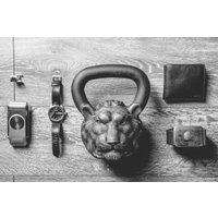 Гиря Iron Head Лев 24 кг