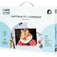 Картина по номерам Три совы Графиня-кошечка КХ4050_53940 в Гомеле