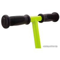 Трехколесный самокат Razor T3 (зелёный)