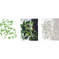 Картина по номерам Феникс+ Волшебный цветок 67975