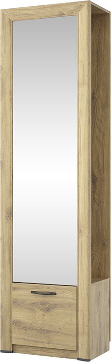 

Шкаф-пенал Anrex Sapori 1DZ (дуб наварра)