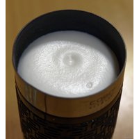 Автоматический вспениватель молока CASO Fomini Crema