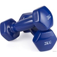 Гантель VictoryFit VF-DV020 2 кг