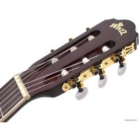 Акустическая гитара Aileen AC965H