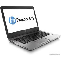 Ноутбук HP ProBook 645 G1 (F1N84EA)