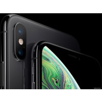Телефон Apple iPhone XS 64GB (серый космос)