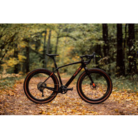 Велосипед Borant Phantom GRX800 S 2022 (коричневый)