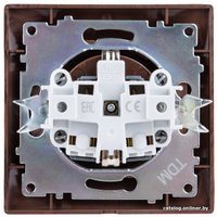 Розетка TDM Electric Лама SQ1815-0423