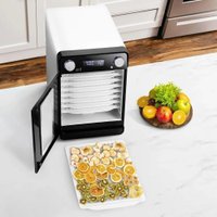 Сушилка для овощей и фруктов Kitfort KT-1981