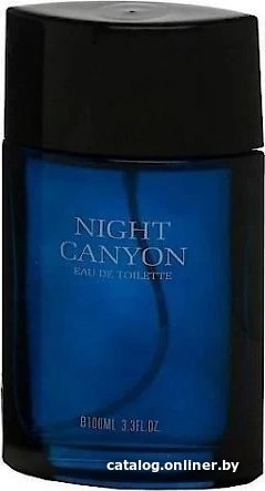 Туалетная вода Real Time Night Canyon Men EdT (100 мл)