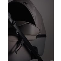 Универсальная коляска Anex E/type 2022 (2 в 1, gothic et-03A)