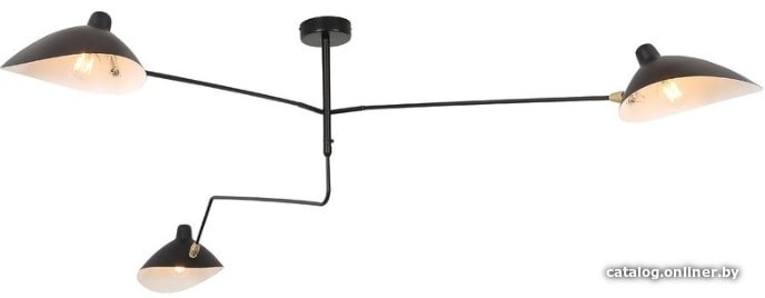 Подвесная люстра ST Luce Spruzzo SL305.402.03