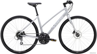 Trek FX 2 Disc Women's Stagger L 2020 (серебристый)