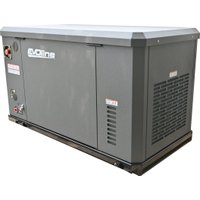 Газовый генератор Evoline GNG 13500 E в Лиде