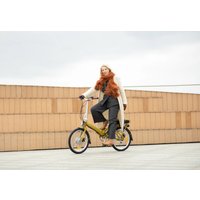 Электровелосипед Shulz E-GOA 2025 (горчица)