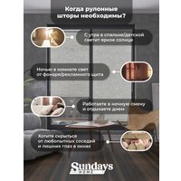 Рулонные шторы Sundays Home LM 165-04 57x160 (серый мрамор)
