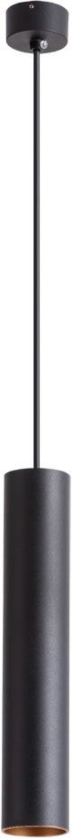 

Светильник Arte Lamp Torre A1530SP-1BK