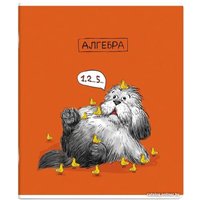 Набор тетрадей Феникс+ Пес ученый 63646