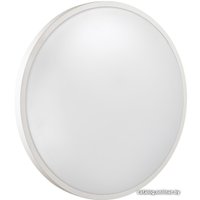 Светильник-тарелка Sonex Smalli 3014/DL