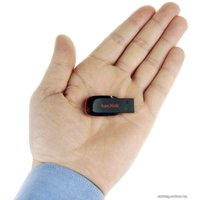 USB Flash SanDisk Cruzer Blade 16GB (SDCZ50-016G-B35)