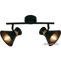 Точечный светильник Arte Lamp Baltimore A1406AP-2BK