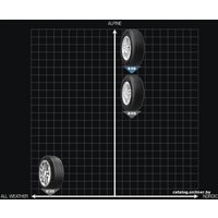 Зимние шины Starmaxx Ice Gripper W850 185/55R14 80H