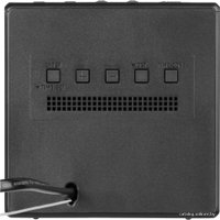 Настольные часы Sony ICF-C1 (черный)