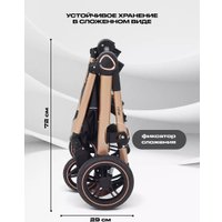 Универсальная коляска Rant Basic Roller Gold RA161 (2 в 1, grey)