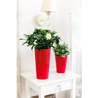 Кашпо GardenPlast Камелия 3л (красный)