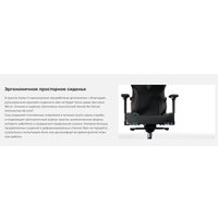 Игровое (геймерское) кресло AndaSeat Kaiser 3 AD12YDC-L-01-P-PV/C (розовый)