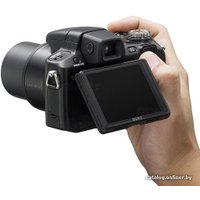 Фотоаппарат Sony Cyber-shot DSC-H50