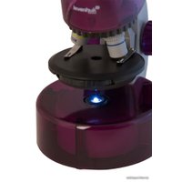 Детский микроскоп Levenhuk LabZZ M101 (аметист) 69033