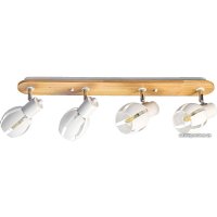 Спот Aitin Pro N4767/4