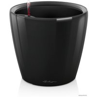 Комнатное растение Lechuza Фикус Бенджамина Экзотика спираль + Classico LS 35