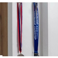 Шкаф распашной Глазов МЦН Лойс 85 (Дуб золотистый/Белый/Графит)