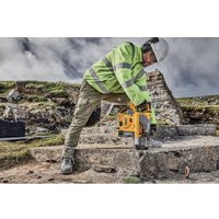 Пылесос DeWalt D25304DH-XJ