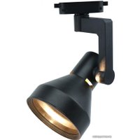 Точечный светильник Arte Lamp Nido A5108PL-1BK