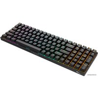 Клавиатура Royal Kludge RK100 RGB (черный, RK Red)