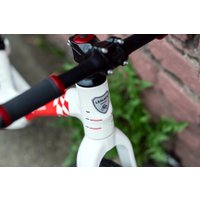 Беговел Lenjoy Sports S1000-12