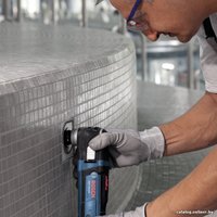 Реноватор Bosch GOP 300 SCE Professional (0601230500)